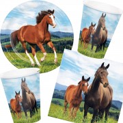 33-teiliges Spar-Set: Pferde & Pony