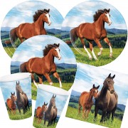 49-teiliges XXL Spar-Set: Pferde & Pony