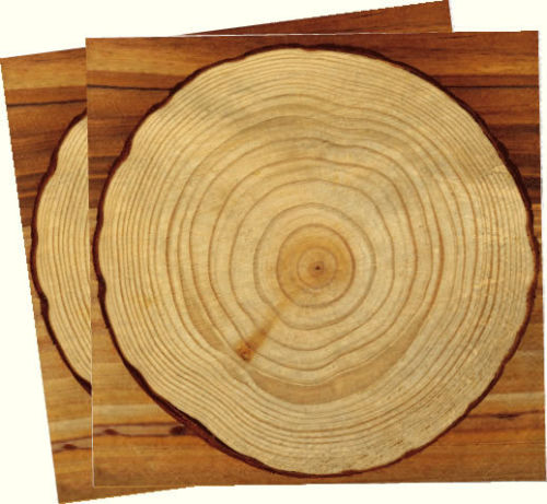 20 Servietten Baum & Holz