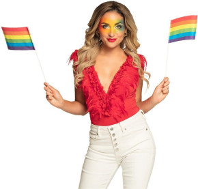 6 Papier-Flaggen Regenbogen