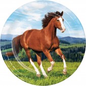 49-teiliges XXL Spar-Set: Pferde & Pony
